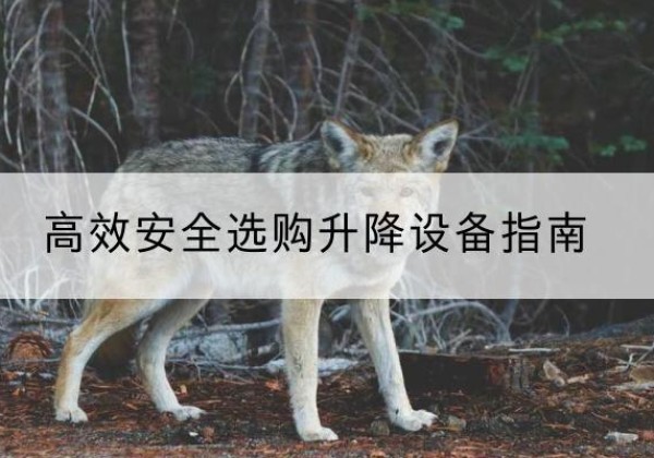 侯马升降货梯厂家推荐-*安全选购升降设备指南