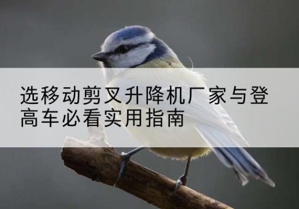 侯马电动升降机厂家-选移动剪叉升降机厂家与登高车必看实用指南
